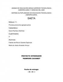PROYECTO INTEGRADOR “ROMPOPE CAVARES”. Página 1