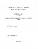 PRODUCCIÓN DE BRÓCOLI EN EL CANTÓN LOJA