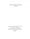 RESEÑA, INVERSION Y FINANCIAMIENTO