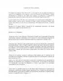 CALIDAD DE VIDA LABORAL