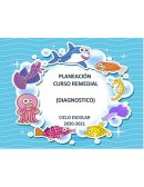 PLAN DE CURSO REMEDIAL (DIAGNOSTICO)