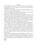 Desarrollo Físico y Cognitivo del niño