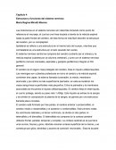 Resúmen sobre el Cerebro