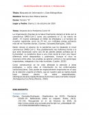 Impacto de la Pandemia Covid-19