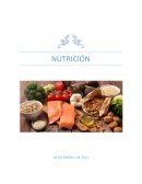 ¿La nutrición es un proceso vital?