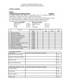 VERIFICACIONES DE COSTOS Y PRESUPUESTOS