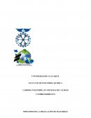 Ensayo de Principios de la Regulación de Seguridad y Salud en el trabajo