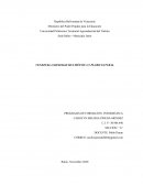 Venezuela, sociedad multiétnica y pluricultural