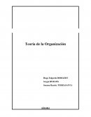 Teoria de la organización