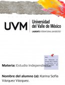 Estrategias de aprendizaje -investigación docemnetal