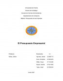 Presupuesto empresarial