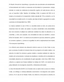 Análisis Diseño Universal de Aprendizaje