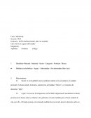 UPC Marketing Caso: San Luis, aguas saborizadas