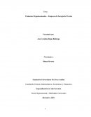 Cimientos Organizacionales – Empresa de Energía de Pereira