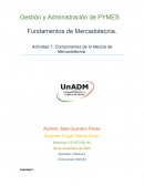 Componentes de la mezcla de mercadotecnia