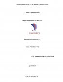 PSICOLOGÍA EDUCATIVA GUÍA PRÁCTICA N° 2