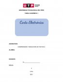 LA CARTA ELECTRÓNICA