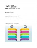 MANEJOS DE EQUIPOS DE TRABAJO ACTIVIDAD#3: CUADRO COMPARATIVO