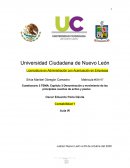 Denominación y movimiento de las principales cuentas de activo y pasivo