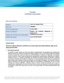 Gestión del Conflicto: Mediación y Negociación