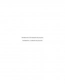 Introducción a la Evaluación de proyectos. Formulación y evaluación de proyectos