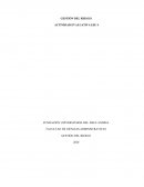 Gestión del Riesgo 4 actividad