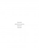 Proyecto final- Administración de operaciones