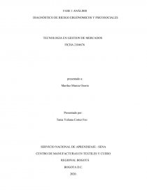 DIAGNÒSTICO DE RIESGO ERGÒNOMICOS Y PSICOSOCIALES. Página 1