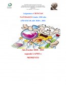 LOS MOVIMIENTOS SEGÚN LA TRAYECTORIA DEL MOVIL