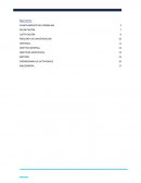 INSUFICIENCIA DE ESPACIOS RECREATIVOS EN CHIGNAHUAPAN