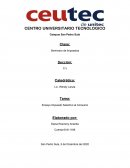 Ensayo Impuesto Selectivo al Consumo