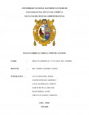 ENSAYO SOBRE EL VIDEO: CAÑÓN DE ANANISO