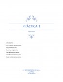 PRÁCTICA 1 Electrónica