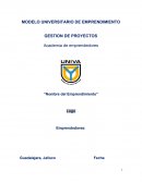 Plan de Negocios. Gestion de Proyectos