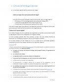 La Prevención De Riesgos Laborales