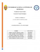 ANALISIS DE PELICULA “EL CISNE NEGRO”