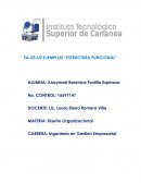 EJEMPLOS “ESTRUCTURA FUNCIONAL”