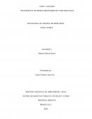 DIAGNÒSTICO DE RIESGO ERGÒNOMICOS Y PSICOSOCIALES