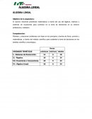Álgebra lineal. Sistemas de numeración