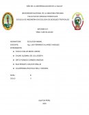 COEVOLUCION TEMA 3 ECOLOGIA ANIMAL