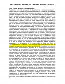 Imitemos al padre de tiernas misericordias