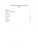 Protocolo de Diseño de Interiores residenciales