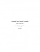 Introduccion a la contabilidad; empresa Lexas