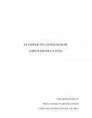 El paisaje en las églogas de Garcilaso