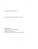 TSU EN MATENIMIENTO DE SISTEMAS INFORMATICOS