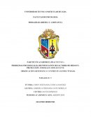 PROBLEMAS PSICOSOCIALES, IDENTIFICACION DE FACTORES DE RIESGO Y PROTECCION: EMBARAZO ADOLESCENTE