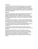Ensayo bosques tropicales subcaducifolos