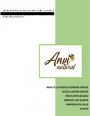 INVESTIGACION DE MERCADOS ANVI