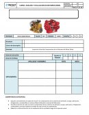 ANALISIS Y EVALUACION DE MOTORES DIESEL