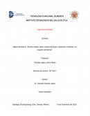 Ácidos, bases, sales, óxidos de mayor utilización industrial y su impacto ambiental